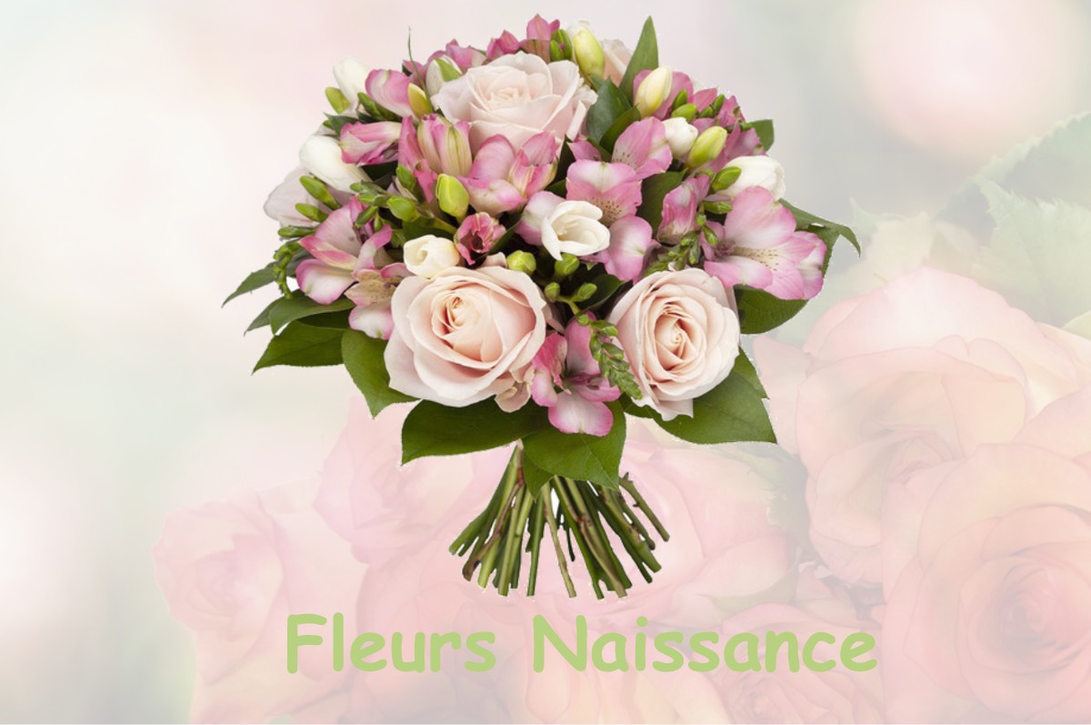 fleurs naissance BOISSY-AUX-CAILLES