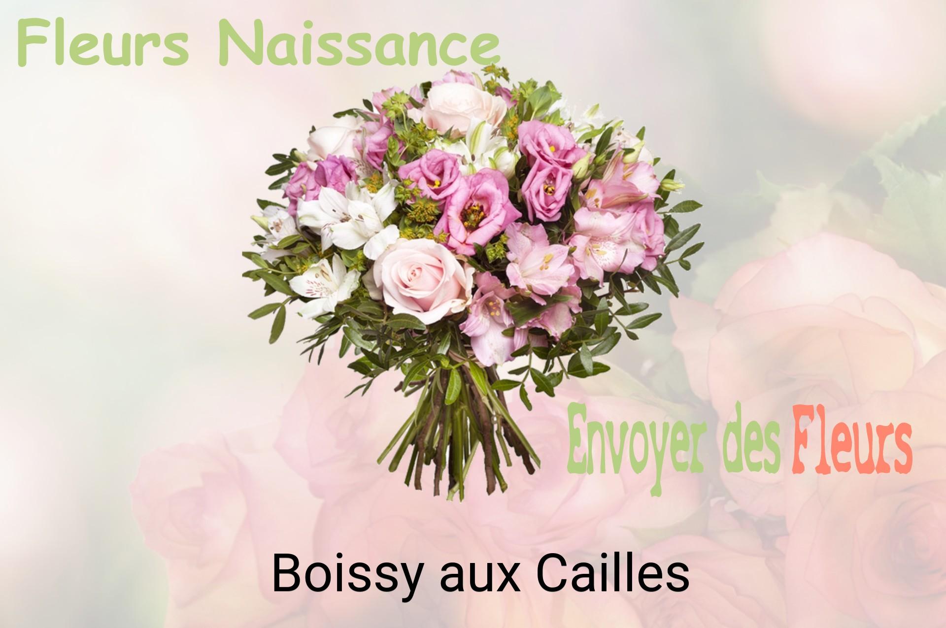 Bouquet de fleurs de naissance livré à Boissy-aux-Cailles