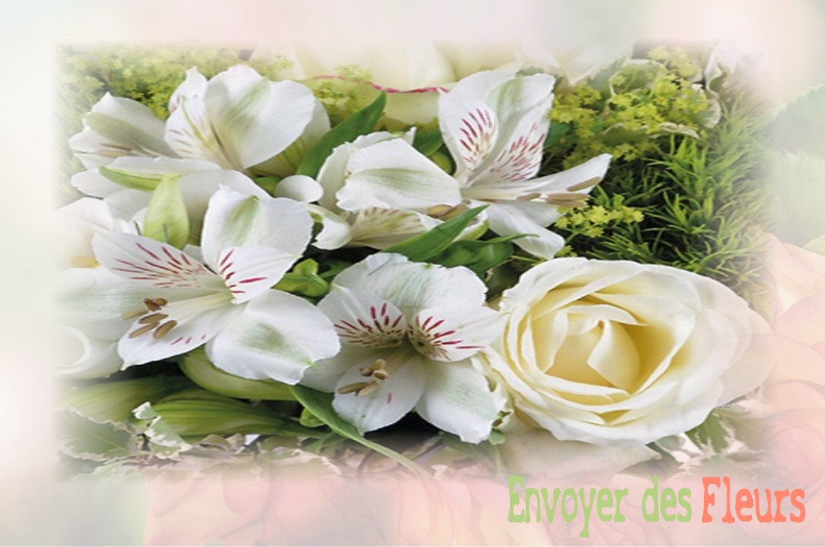 envoyer des fleurs à à BOISSY-AUX-CAILLES